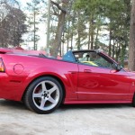 Red 2001 Ford Mustang Cobra